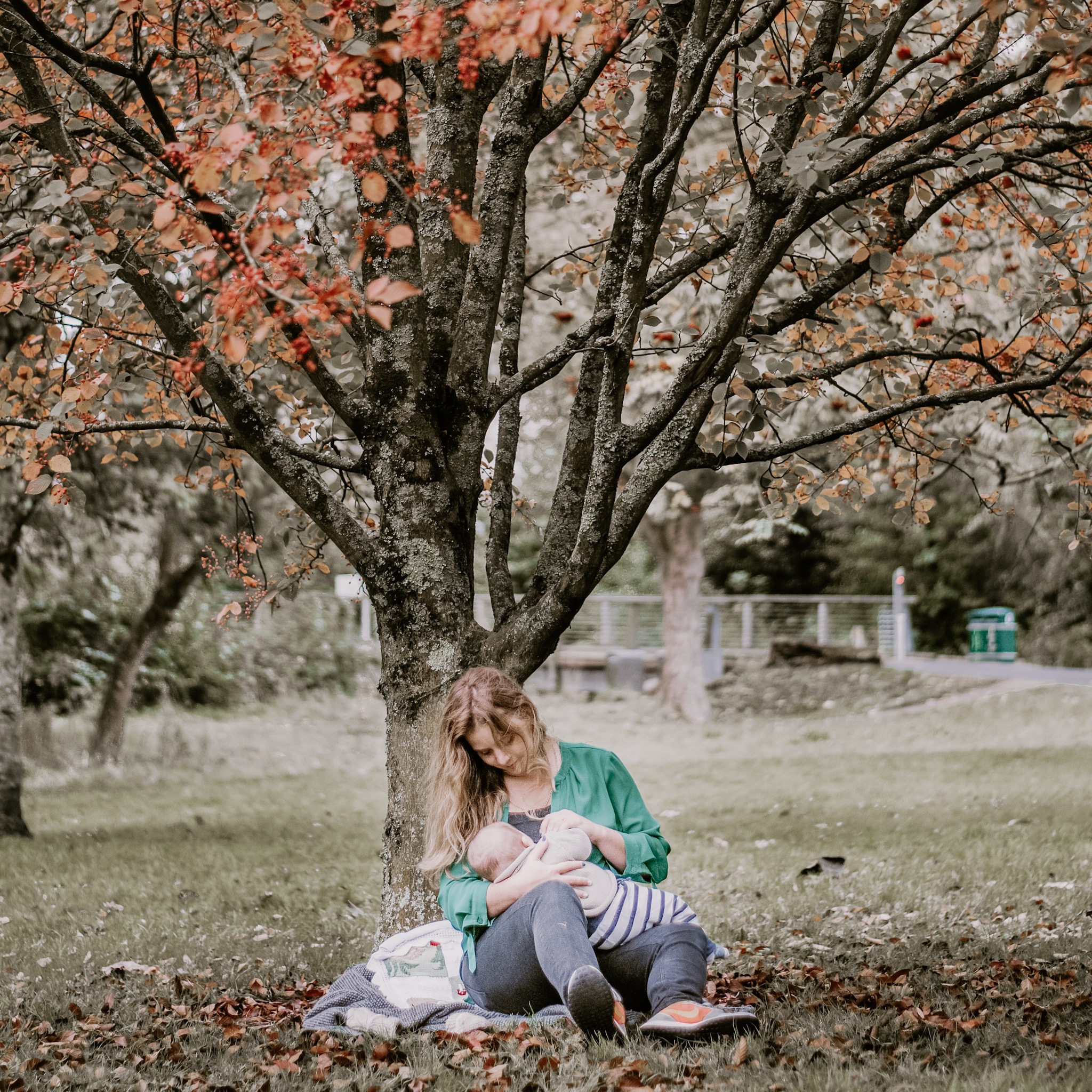 Gentle Sleep Training with Breast Feed to Calm - All About Sleep